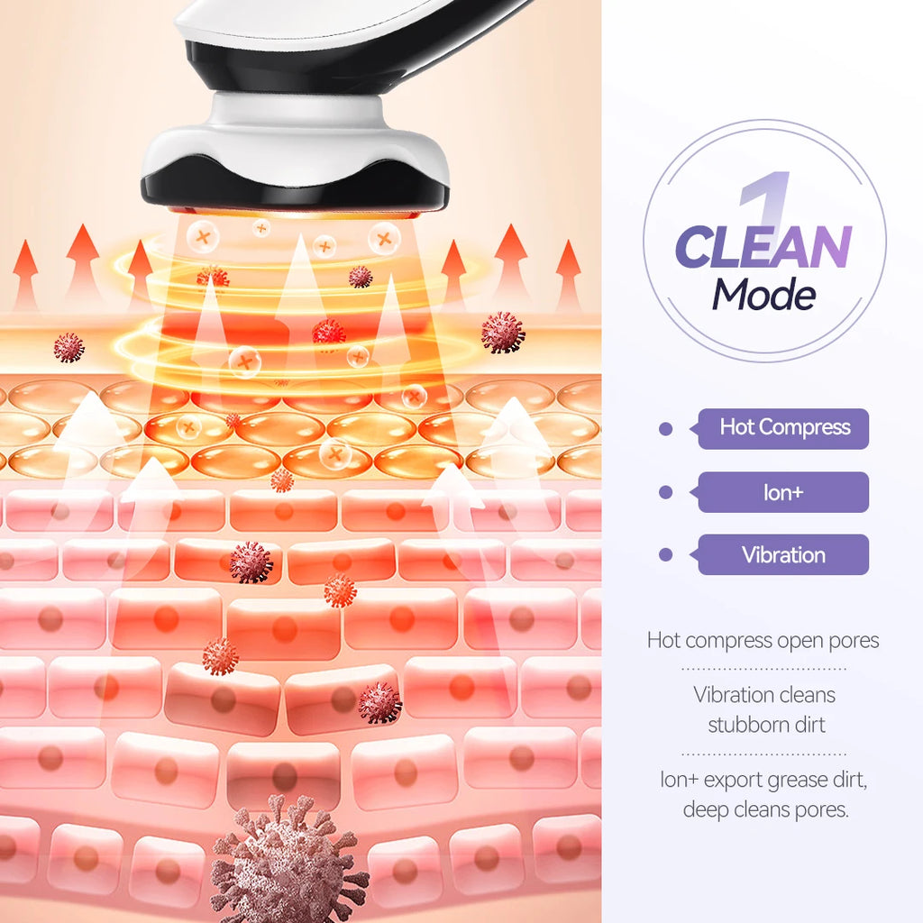 Appareil de massage facial ANLAN